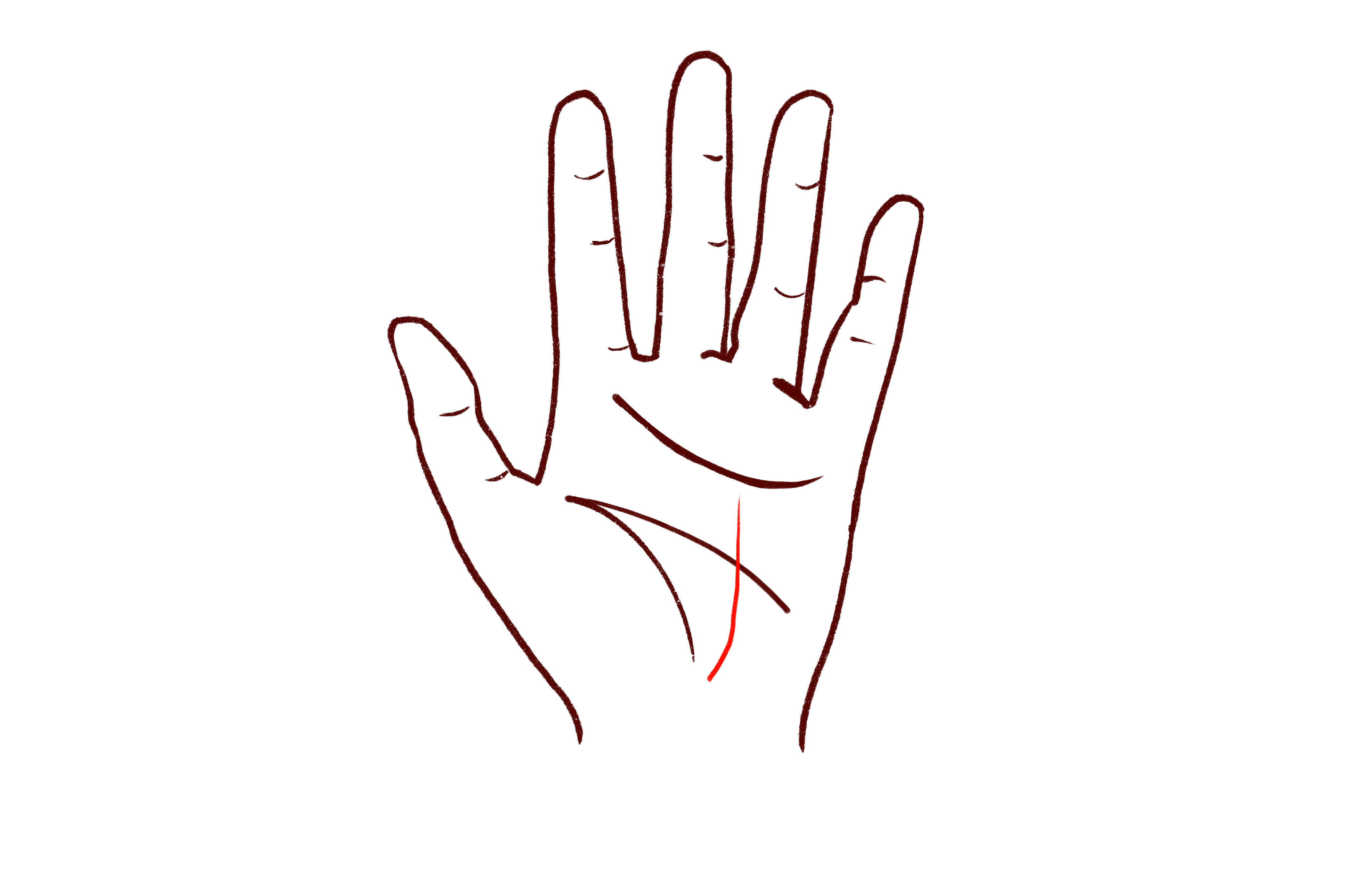 手掌事业线偏向小拇指_手掌的拇指_手相拇指上的线条什么意思