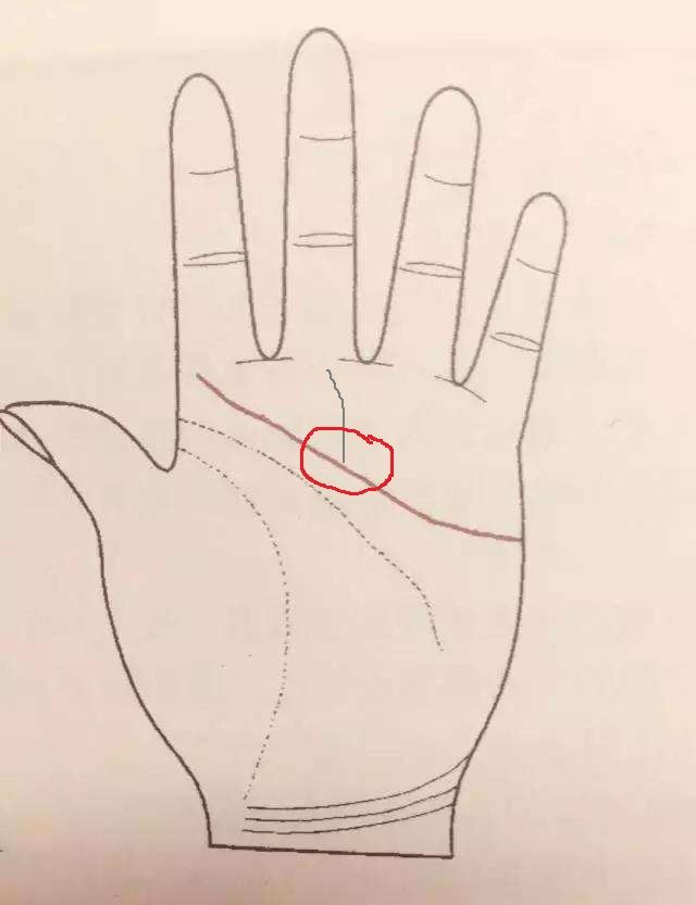 手相拇指上的线条什么意思_手掌事业线偏向小拇指_大拇指到掌心的线