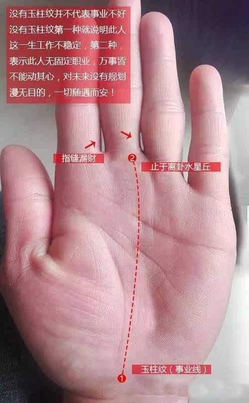 手掌的拇指_手掌事业线偏向小拇指_拇指手相有没有财运呢