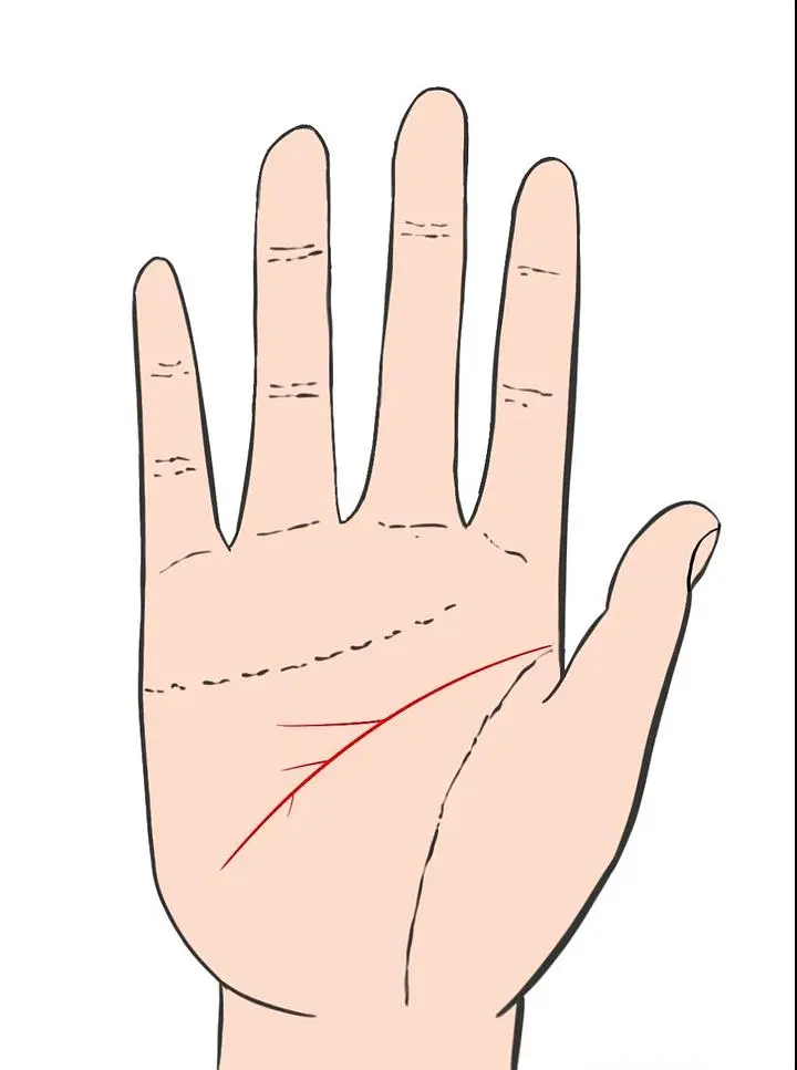 智慧线链条状手纹的人_智慧线是链条纹_手相智慧线链条状
