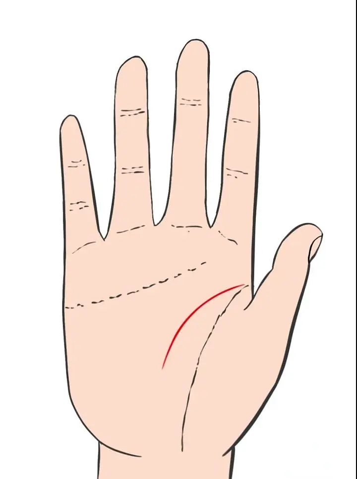 智慧线是链条纹_智慧线链条状手纹的人_手相智慧线链条状