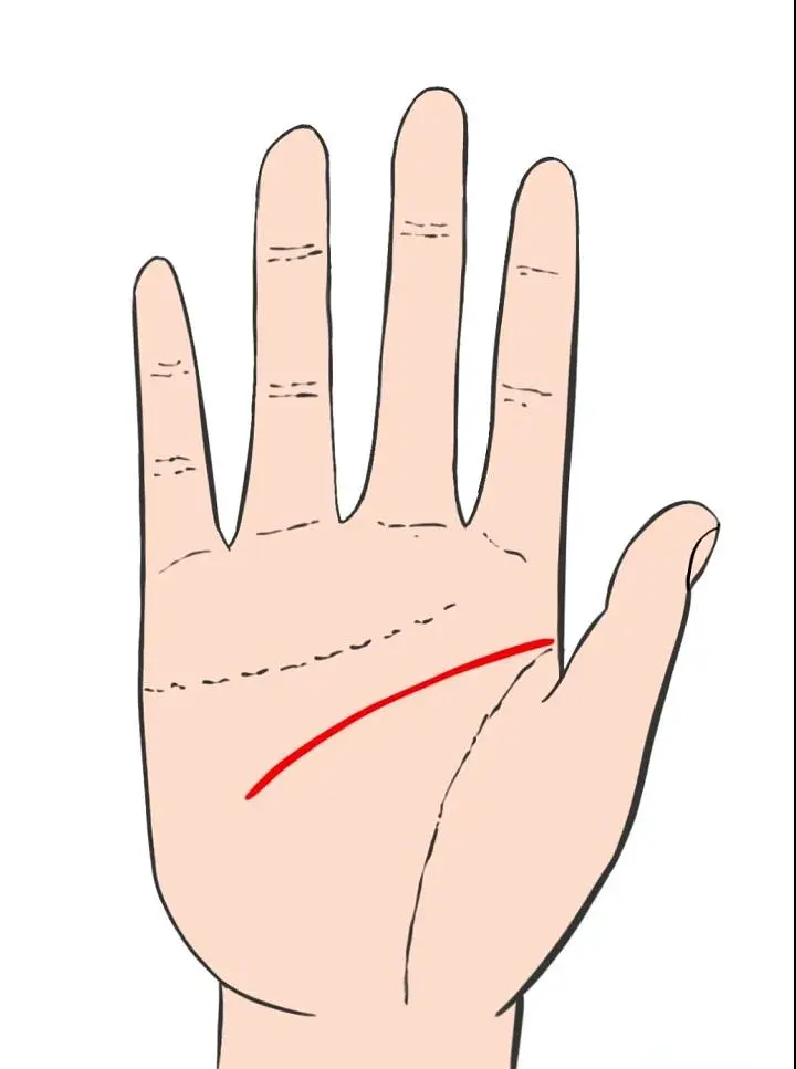 智慧线是链条纹_手相智慧线链条状_智慧线链条状手纹的人