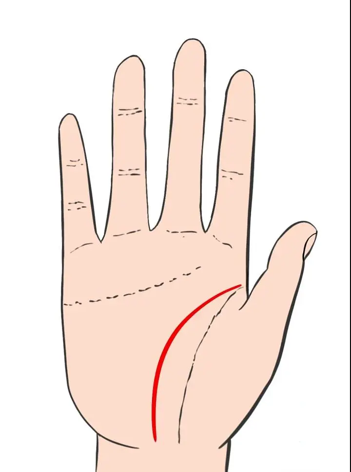 智慧线是链条纹_智慧线链条状手纹的人_手相智慧线链条状