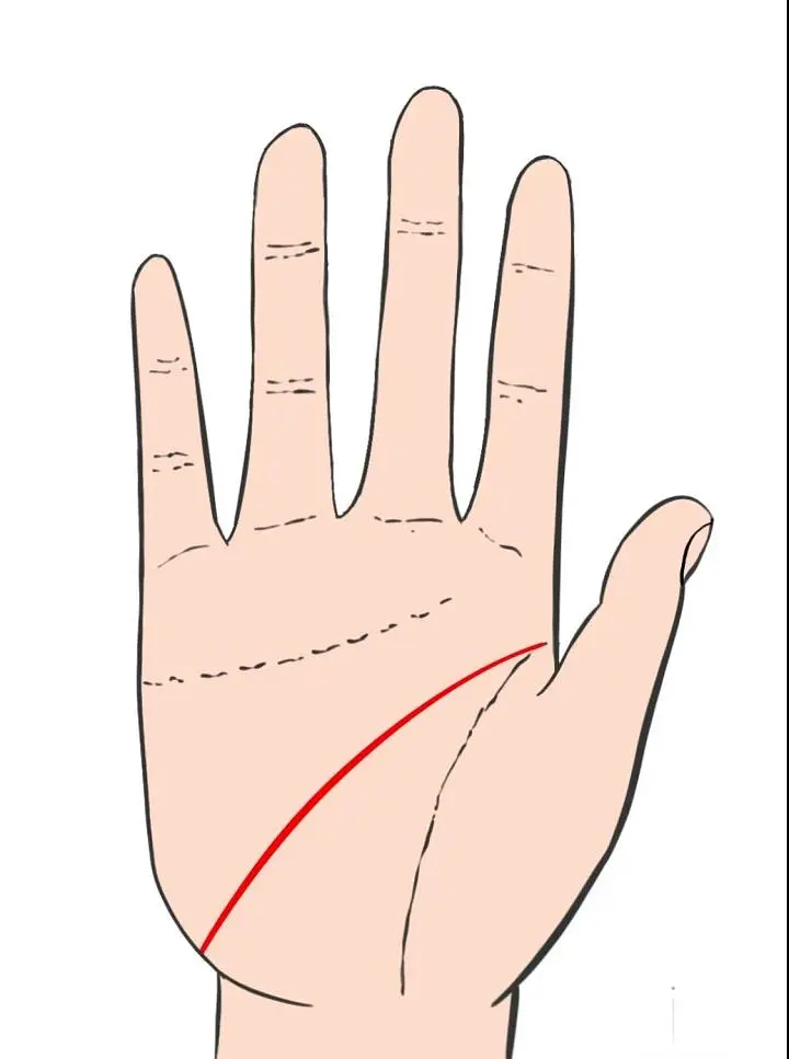 手相智慧线链条状_智慧线链条状手纹的人_智慧线是链条纹