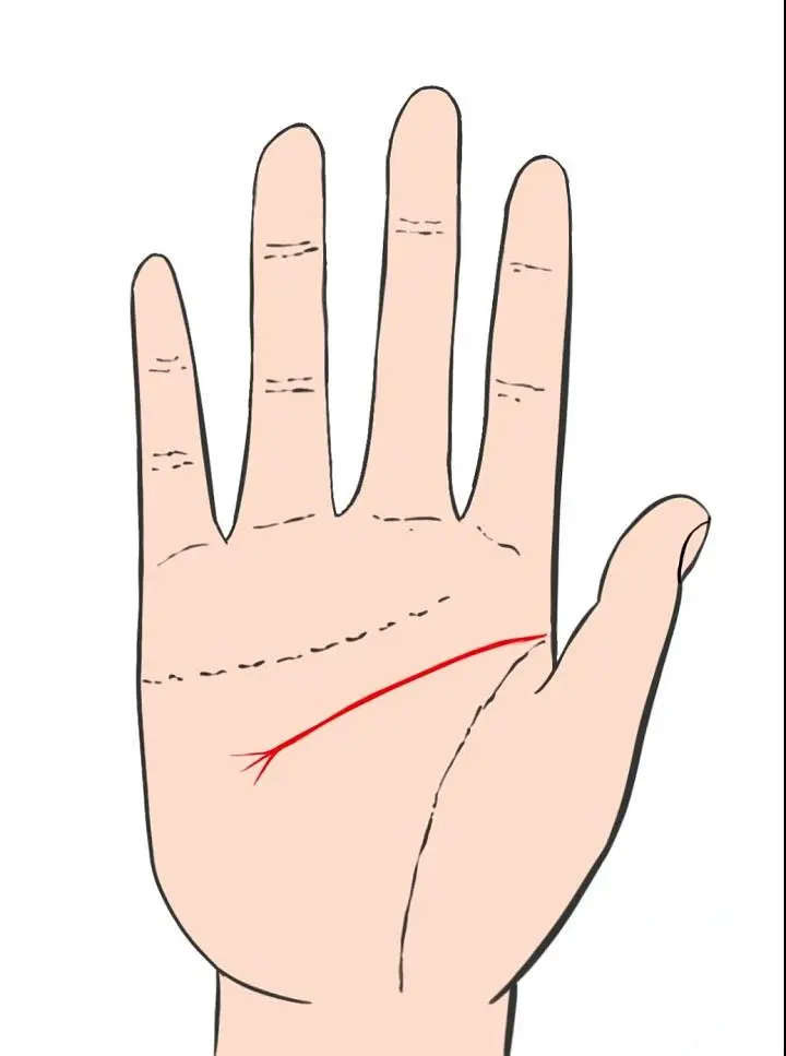 智慧线是链条纹_智慧线链条状手纹的人_手相智慧线链条状