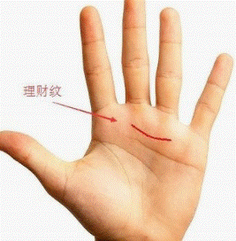 手掌细纹多代表什么意思_手相手掌细纹多_手掌事业线细
