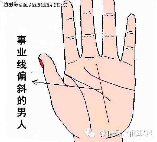 手掌细纹多代表什么意思_手掌事业线细_手相手掌细纹多