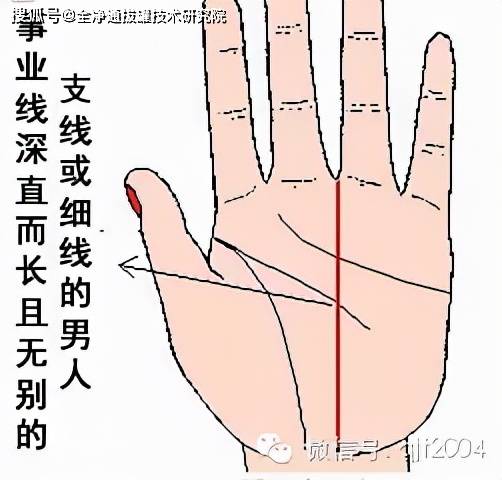 手掌事业线细_手掌细纹多代表什么意思_手相手掌细纹多