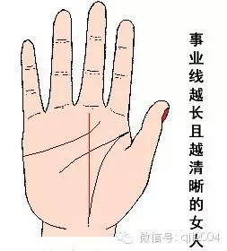 手掌细纹多代表什么意思_手掌事业线细_手相手掌细纹多