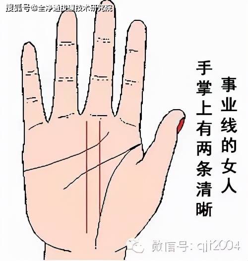 手掌事业线细_手相手掌细纹多_手掌细纹多代表什么意思