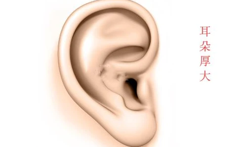 左耳朵耳垂缺一块面相_左耳垂比右耳垂厚面相_耳朵大耳垂厚的面相