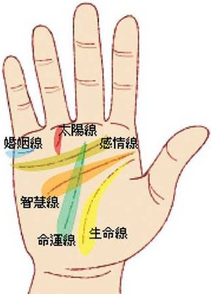 女生左手感情线有痣_女生左手线怎么看图解_女生左手一条直线是什么意思