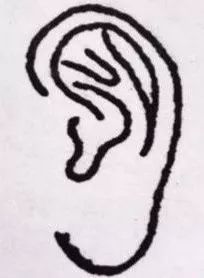耳朵大面相学_把耳朵养大的例子面相_耳朵大福气好
