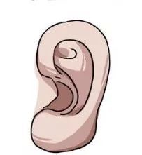 耳朵大福气好_耳朵大面相学_把耳朵养大的例子面相