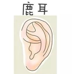 耳朵大福气好_耳朵大面相学_把耳朵养大的例子面相