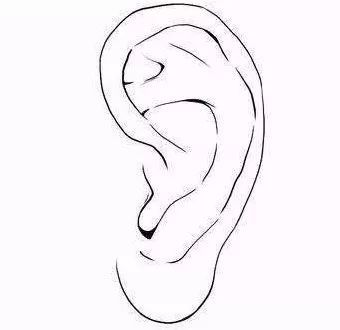 把耳朵养大的例子面相_耳朵大福气好_耳朵大面相学