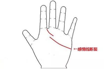 手掌智慧线是什么意思_掌纹智慧线贯穿手掌_手相智慧线贯穿手掌