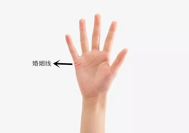 掌纹智慧线贯穿手掌_手相智慧线贯穿手掌_手掌智慧线是什么意思