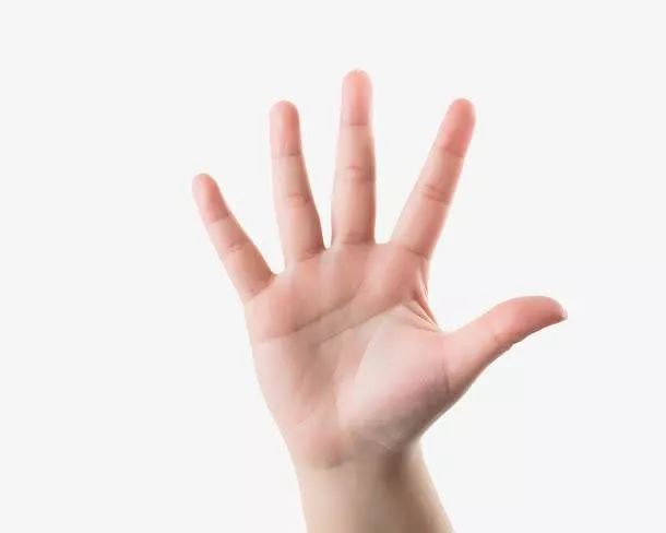 手掌智慧线是什么意思_手相智慧线贯穿手掌_掌纹智慧线贯穿手掌