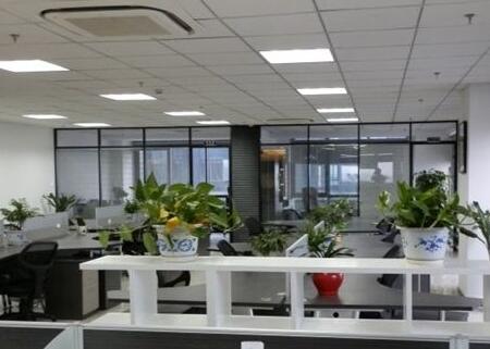 风水好的花卉植物办公室_办公室水植物风水学_办公室植物风水学