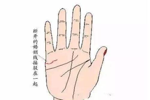 手掌纹路怎么看出几次婚姻_手掌纹怎么看婚姻_从手掌纹看婚姻有道理吗