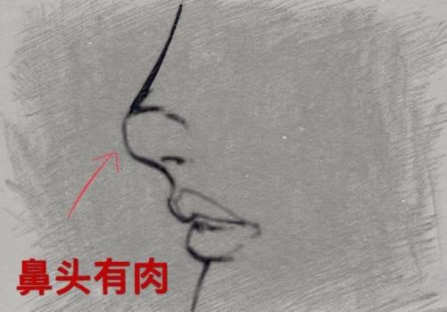 风水堂:女人鼻子有肉的脸的命理分析