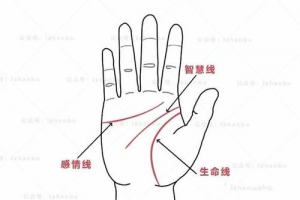 注3:多数人的手纹都有三条主线,从上向下分别是感情线,智慧线,生命线.