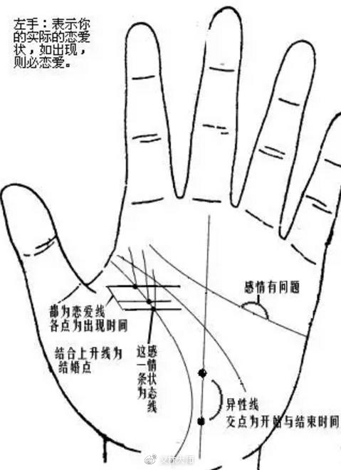 手掌纹几种_各种掌纹解析_手中的掌纹