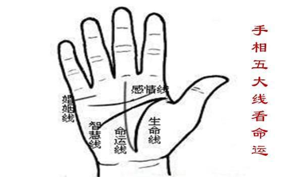 手掌纹几种_手中的掌纹_各种掌纹解析