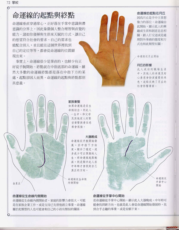 手掌纹路线代表什么_手掌纹路条线是什么_手掌纹路一条线