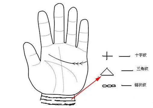 手掌纹路条线图解_手掌纹路条线代表什么_手掌纹路一条线