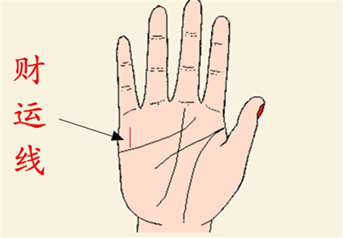 右手食指指纹看爱情_感情线在食指右边_右手食指侧面长痣什么意思