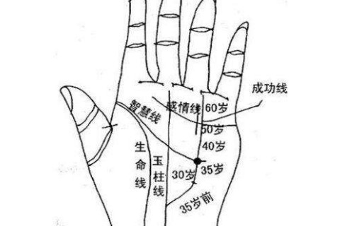 右手食指侧面长痣什么意思_感情线在食指右边_右手食指中间有一道线