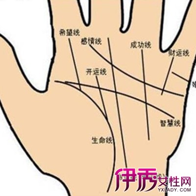 右手食指侧面长痣什么意思_右手食指中间有一道线_感情线在食指右边