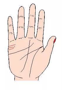 小拇指侧面婚姻线_婚姻线被小拇指下的竖线挡住了_婚姻线到大拇指