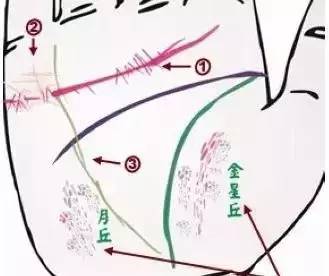 线间距离_线间距指的是_感情线和智慧线中间的间距